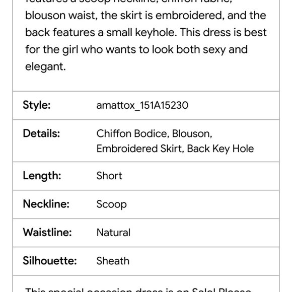 Aidan Mattox - Embroidered Chiffon Blouson Black/Nude Short Dress - Picture 14 of 14